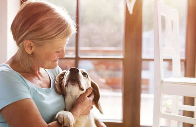 Healing power of pets
