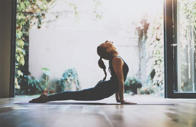 Mind Body Connection