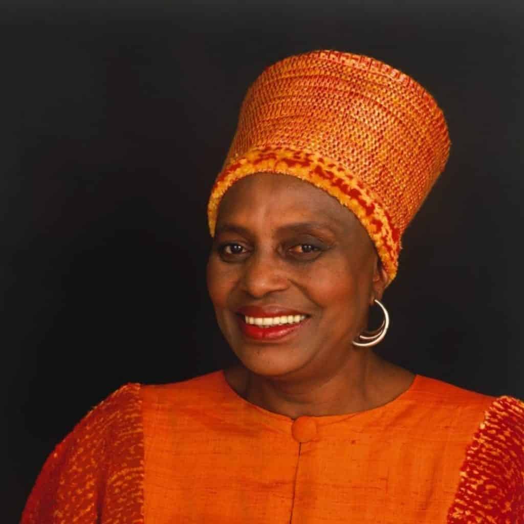 Women To Celebrate 10 Inspiring South African Women SACAP
