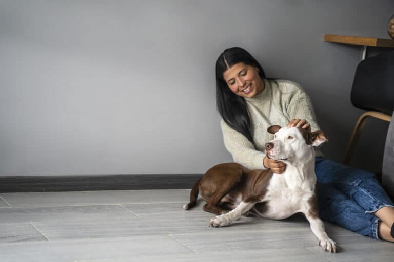 Animal-Assisted Psychotherapy CPD Workshop - 26 August 2025