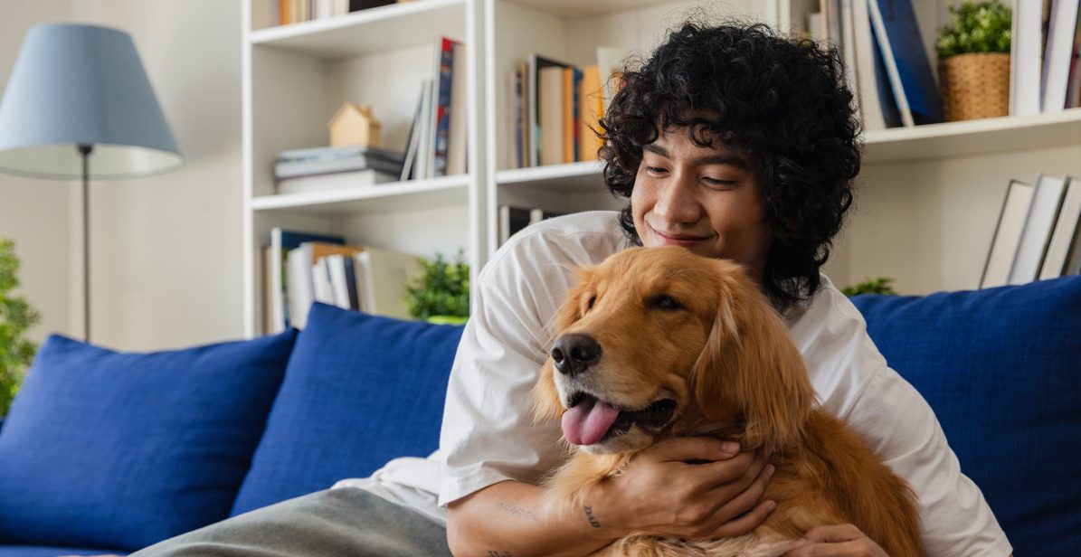 A young man sits on a blue sofa, happily embracing his golden retriever animal.